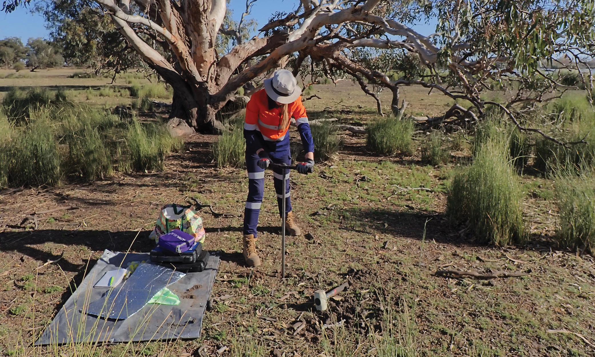 Groundwater dependent ecosystems within our evolving mining landscape